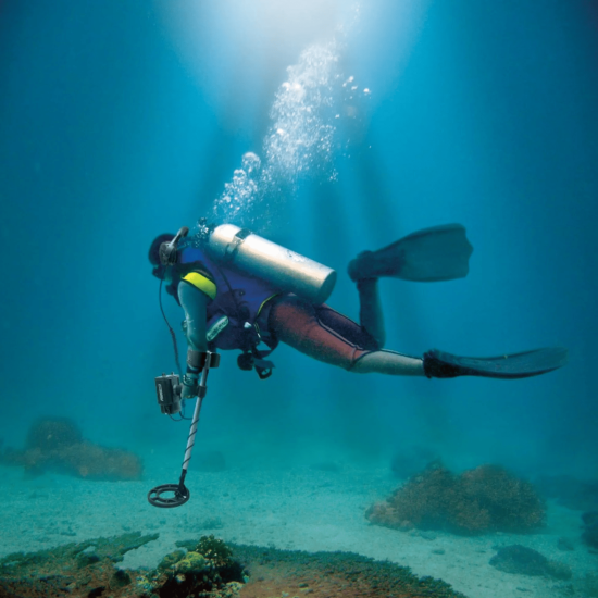 Fisher CZ-21 avec disque de recherche de 8’’